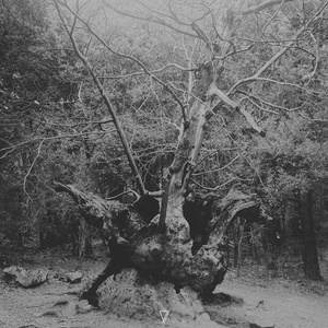 Smells Like Autumn [7VC09]