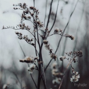 Tim Engelhardt - Reality EP [FH006]