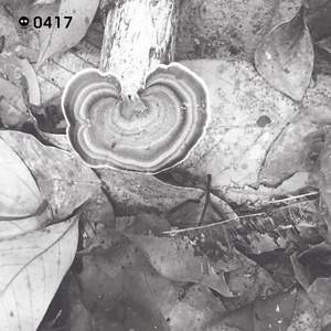 In Between [SKEL0417]