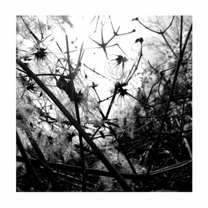 Joachim Spieth – Irradiance [AFFINLP01LTD]