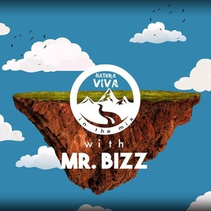 Natura Viva In The Mix With Mr. Bizz [NATMIX001]
