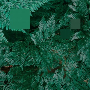 Nebraska – Metaphor to the Floor EP [HEIST028]