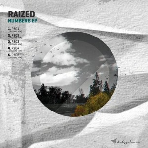 Raized - Numbers EP [DUBS062]