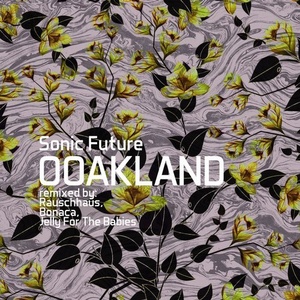 Sonic Future – Ooakland [OOAK041]