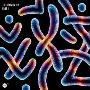 The Common Ten Part 2 [UY1282]
