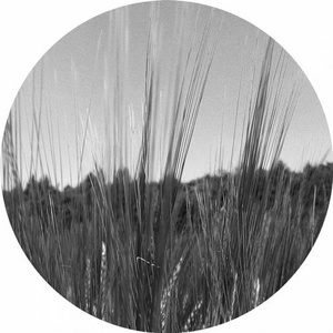Decennium 1.2 [AFFIN038LTD]