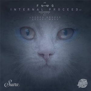 Flug - Internal Proceed [SUARA293]