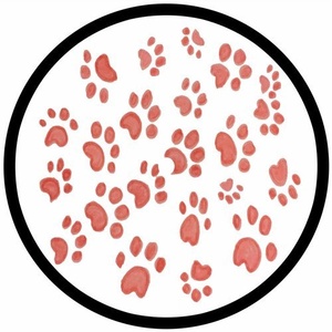 PAWSA – The Groovy Cat [PAWZ004]