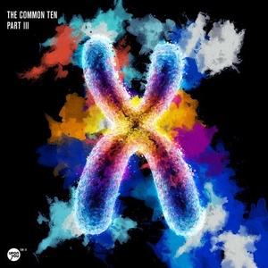 The Common Ten Part 3 [UY1283]