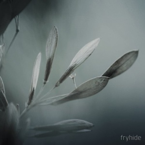 Tone Depth – The Odyssey, Part 1 [FH008]