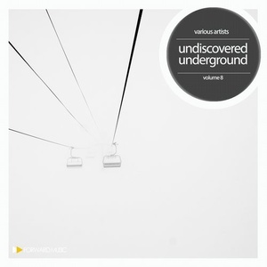 Undisovered Underground, Vol. 8 [FM028LP]