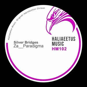 Za__Paradigma - Silver Bridges [HM0102]