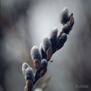 Raxon - System8 [FH009]