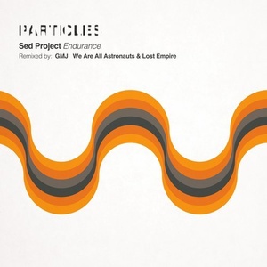 Sed Project - Endurance (Remixes) [PSI1747]