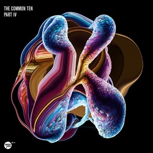 The Common Ten Part 4 [UY1284]