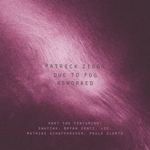 Patrick Zigon - Due To Fog Reworked (Part Two) [BIOLAB039]
