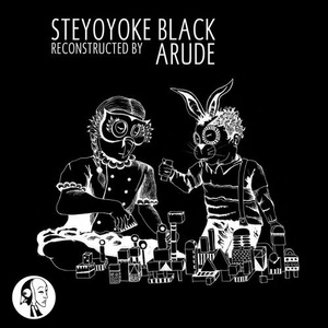 Altego, Never Lost - Steyoyoke Black Reconstructed [SYYKBLK035]