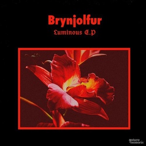 Brynjolfur - Luminous EP [NS080]