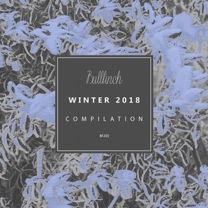 Bullfinch Winter 2018 [BF203]