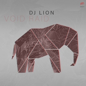 DJ Lion - Void Raid [SA027]