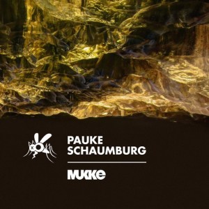 Pauke Schaumburg, Animal Swing Kids - Transit [MUKKE028]