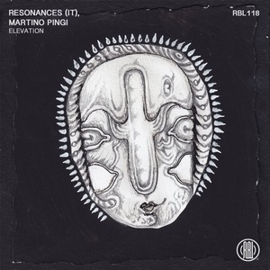 Resonances (IT), Martino Pingi - Elevation [RBL118]