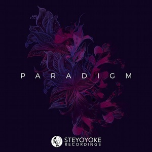 Steyoyoke Paradigm, Vol. 02 [SYYKPARA002]