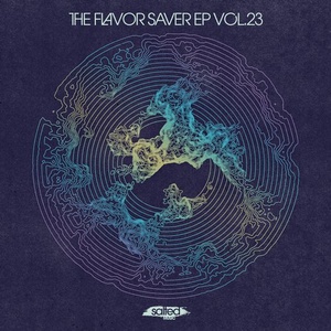 The Flavor Saver, Vol. 23 [SLT133]