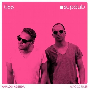 Analog Agenda - Wacko FU .EP [SDR066]