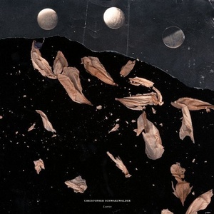 Christopher Schwarzwalder - Leaves [BLV5104125]
