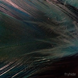 HOSH - On The Radar [FH011]