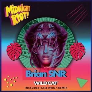 Brian Snr - Wild Cat [MIDRIOTD137]