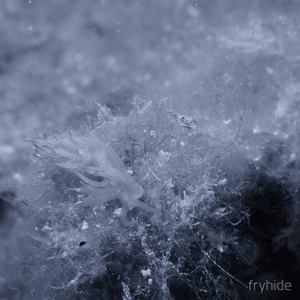 Simao - Submarine EP [FH012]