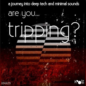 VA - Are You...Tripping?, Vol. 7 [KMA09]