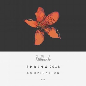 VA - Bullfinch Spring 2018 Compilation [BF216]