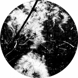 Joachim Spieth - Irradiance Reworked [AFFIN041LTD]