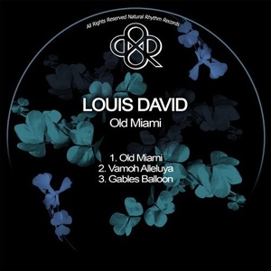 Louis David - The Old Miami [NR284]
