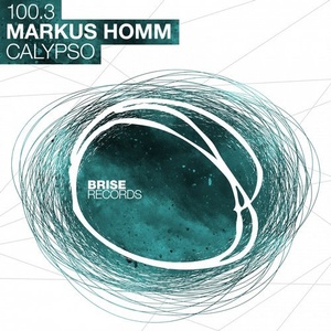 Markus Homm – Calypso [BRISE10003]
