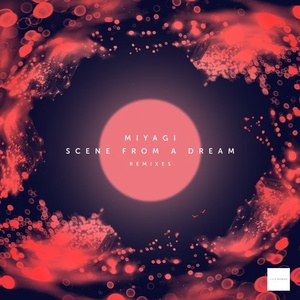 Miyagi - Scene from a Dream Remixes [LD016]