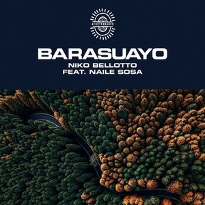 Niko Bellotto, Naile Sosa – Barasuayo [AFTNE005]