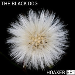 The Black Dog - Hoaxer EP 1 [DUSTDL057]