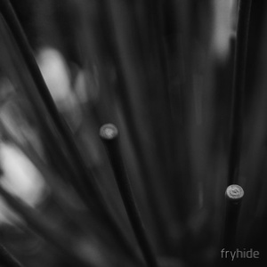 Tone Depth – The Odyssey Part 2 [FH013]