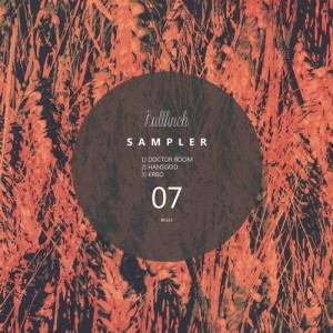 VA - Bullfinch Sampler #7 [BF223]