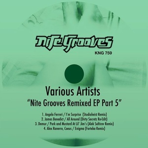 VA - Nite Grooves Remixed EP, Part 5 [KNG759]