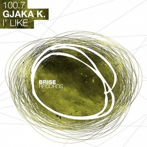 Gjaka K. - I'like [BRISE10007]