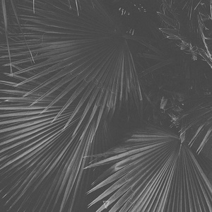 Hats & Klaps - Frozen Memories [7V054]