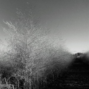 Markus Guentner - Archives (10 Years Affin) [AFFIN029COMP]