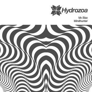 Mr. Bizz - Mindhunter [HDRZ031]