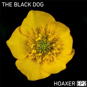 The Black Dog - Hoaxer EP2 [DUSTDL058]