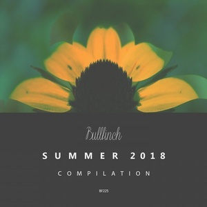 VA - Bullfinch Summer Compilation 2018 [BF225]